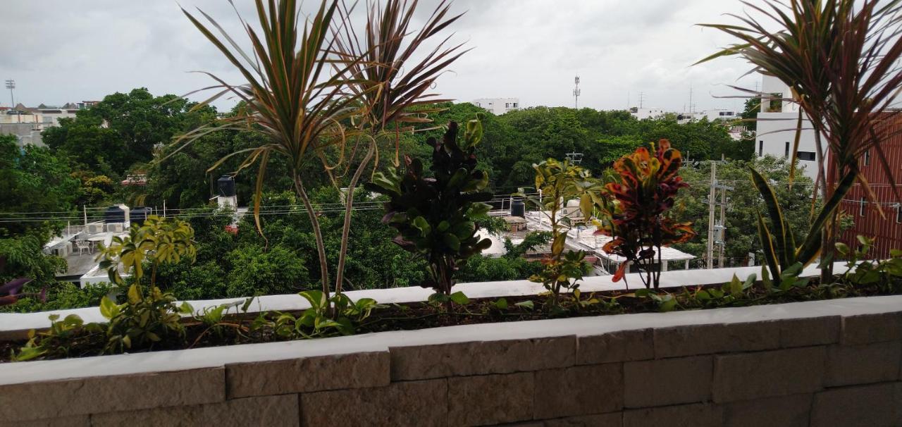Suites Calle 38 Playa del Carmen Esterno foto